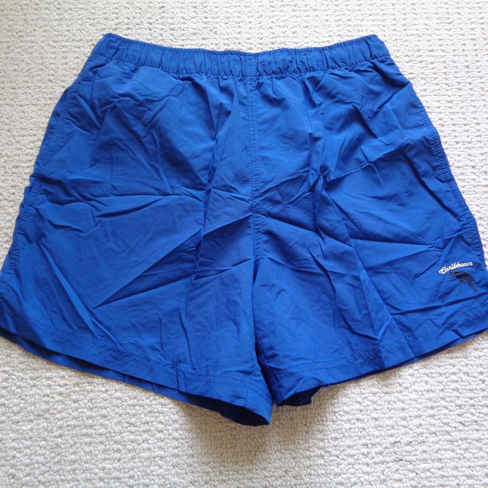 Roundtree & Yorke Size Large Blue New Swim Trunks